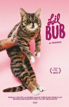 Lil Bub and Friendz film poster, pink